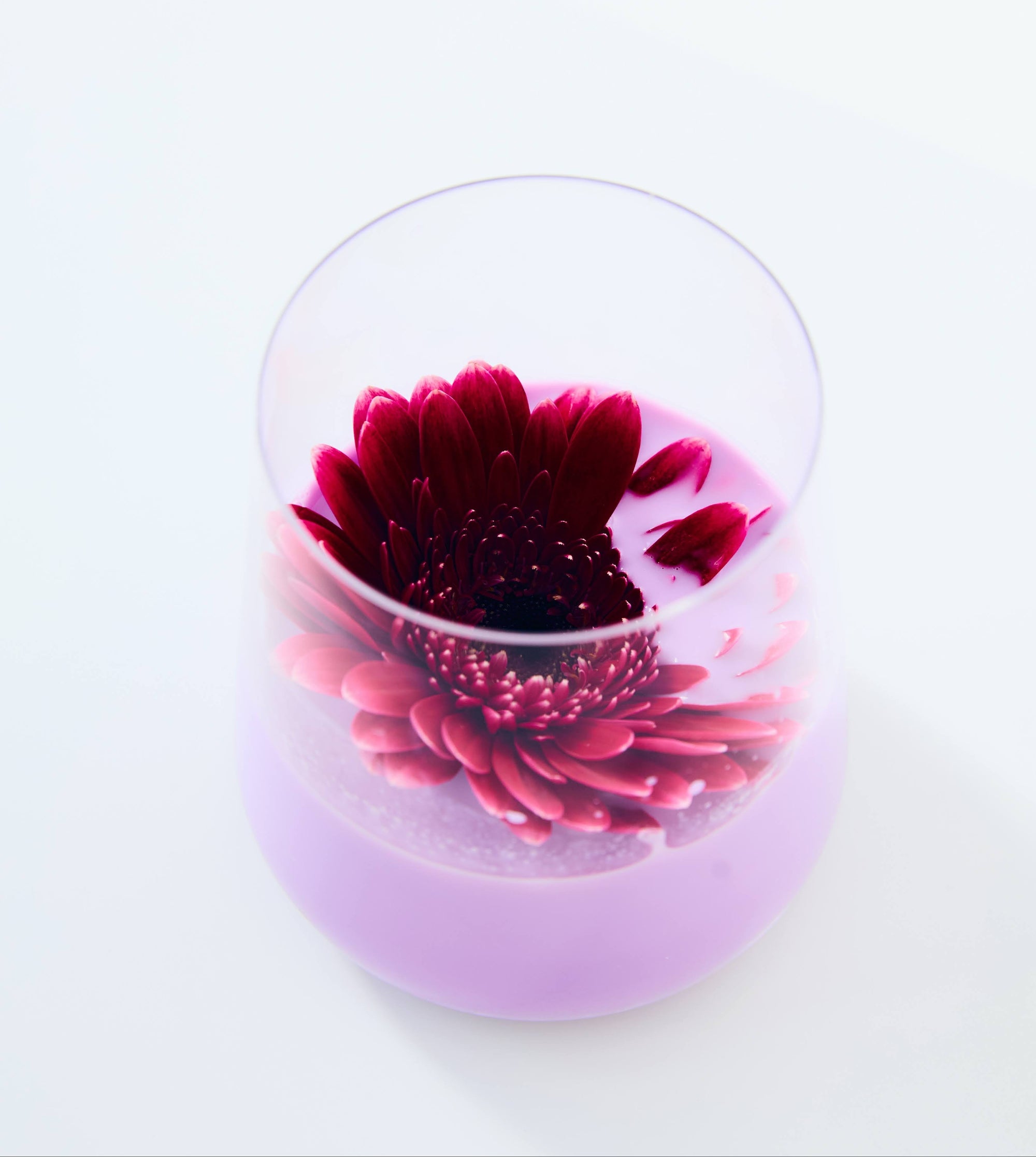 Purple Dream – prášek Ube