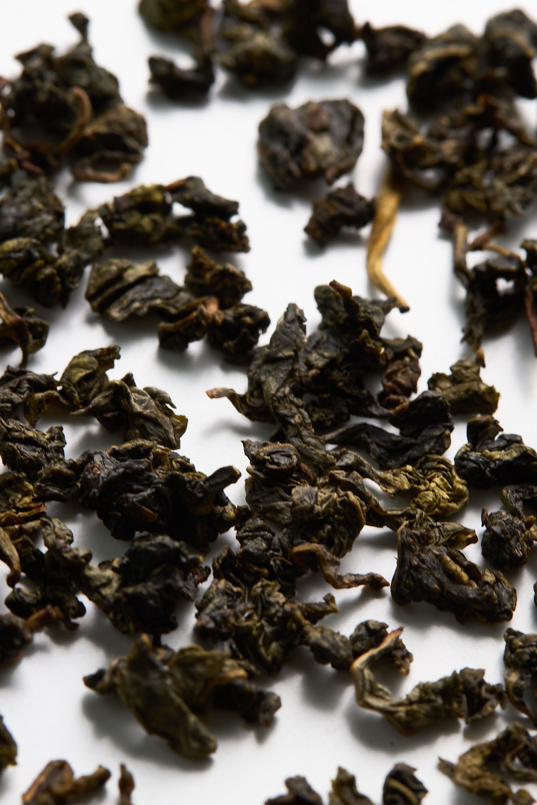 Milk Oolong – mléčný oolong z Číny