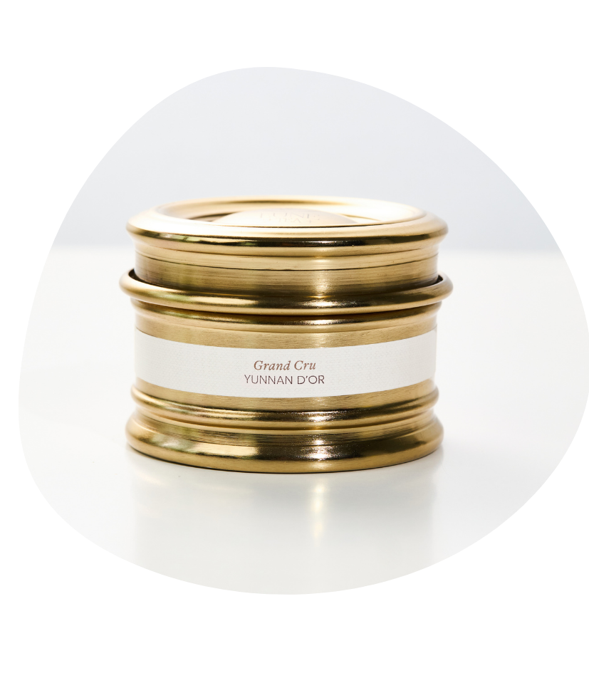 Yunnan d'or – černý čaj z Číny